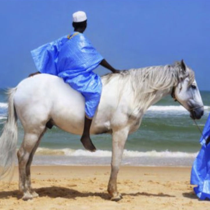 Vibration-des-mers-BLUE-HORSE-passionnez-parfum-creation-vignette