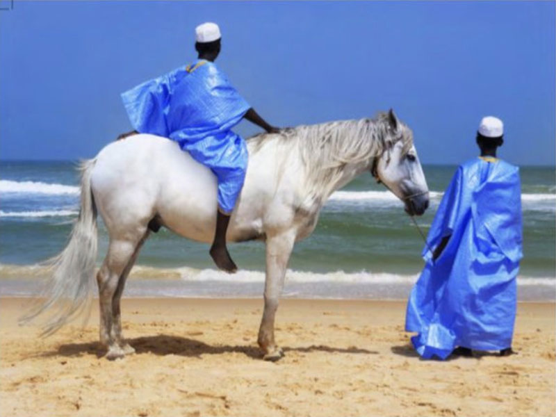 Vibration-des-mers-BLUE-HORSE-passionnez-parfum-creation
